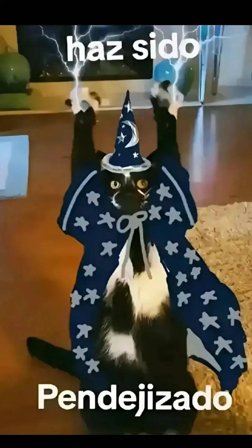 ai character: Gato pendejizador  background