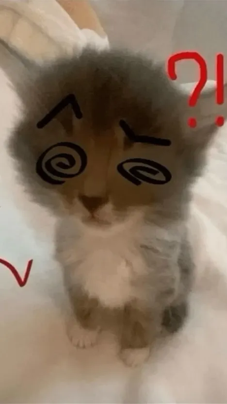 ai character: Cat background