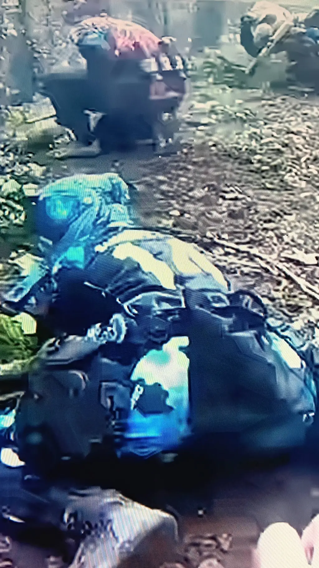 ai character: Willow background