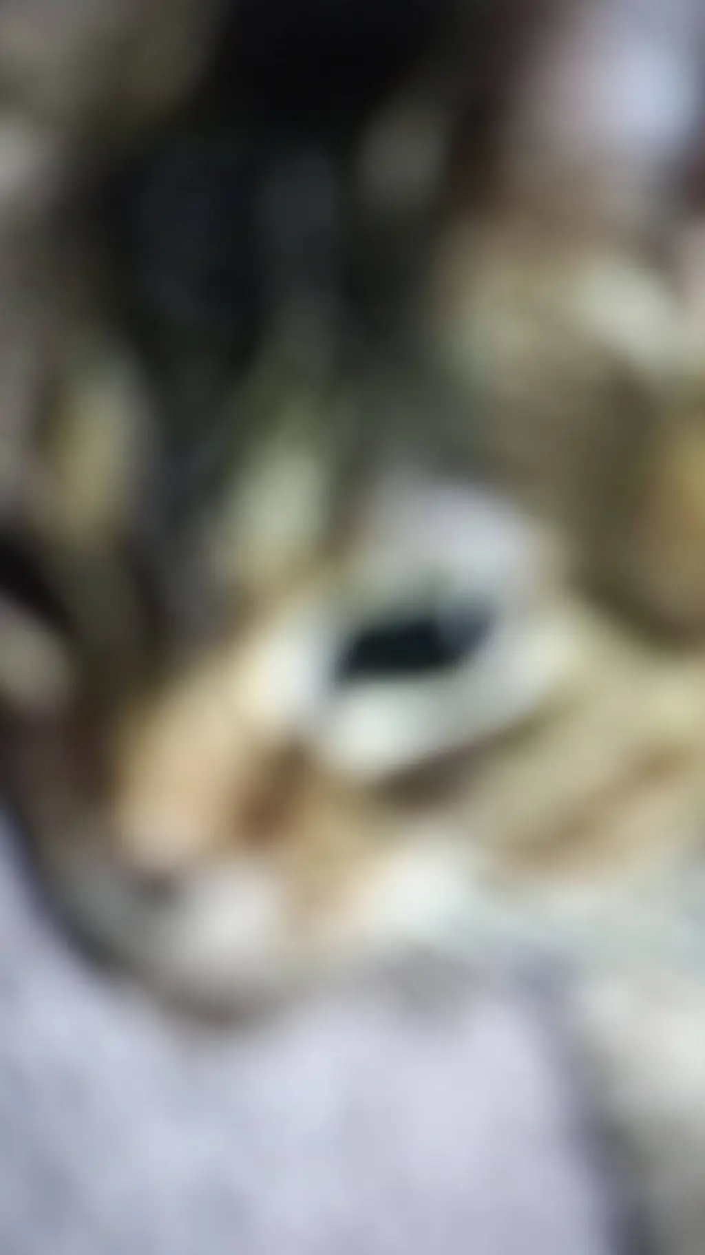 ai character: Ethel cat background