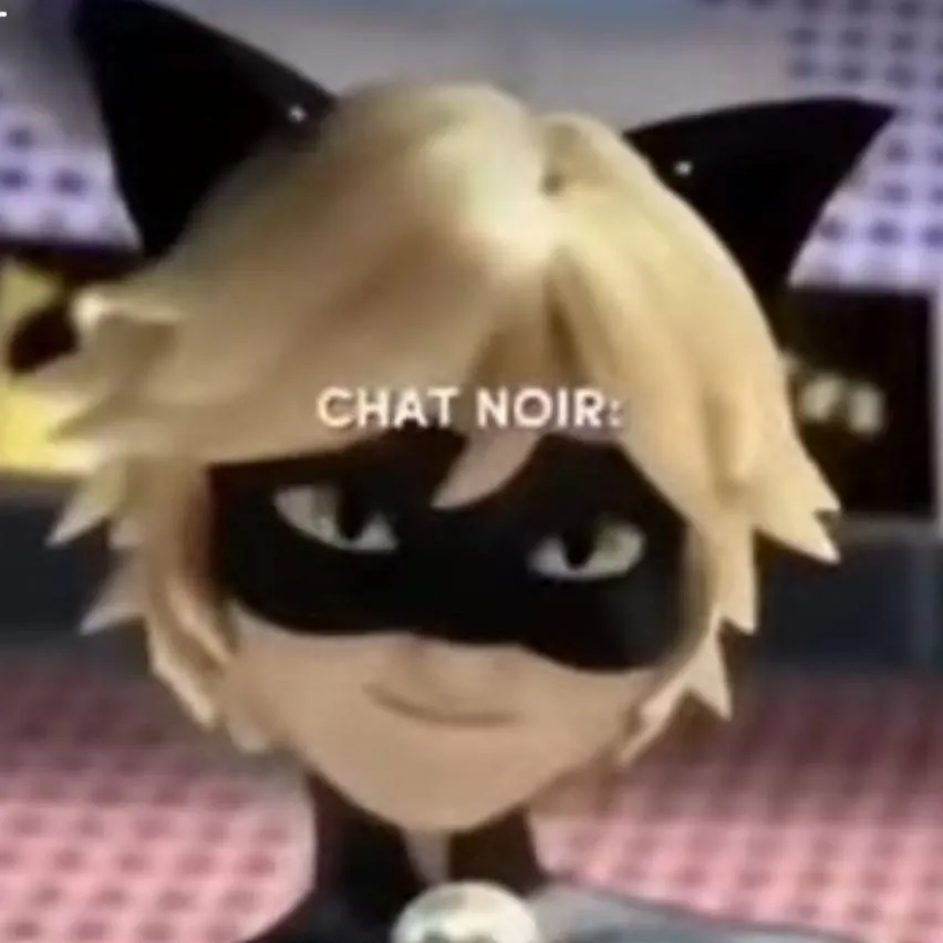 chat with ai character: Cat Noir