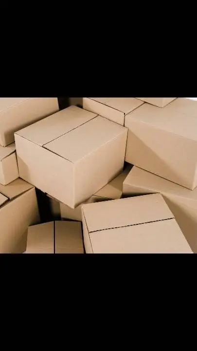 ai character: cajoya  background