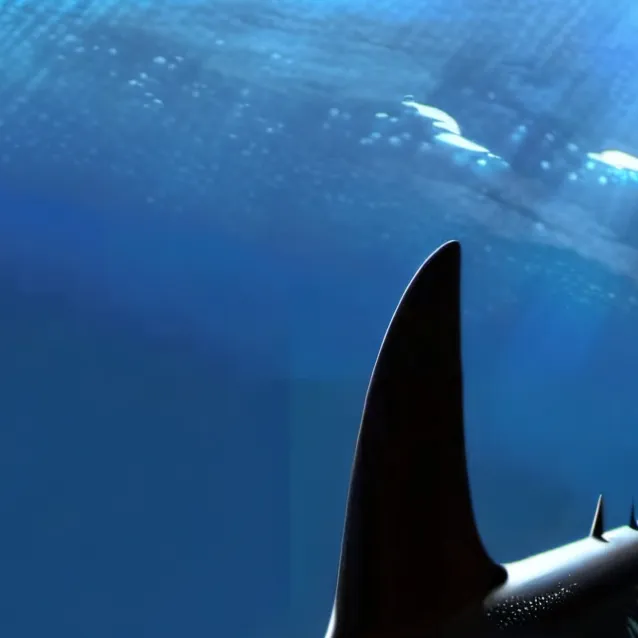 chat with ai character: squidshark