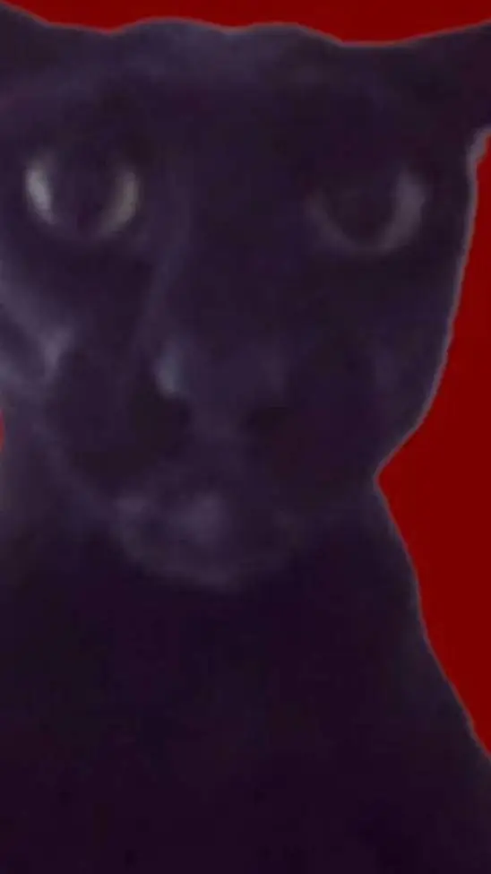 ai character: larry background