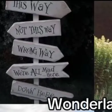 chat with ai character: wonderland🏰🪄
