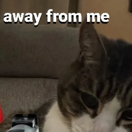 chat with ai character: part 2 KittyGirl_1