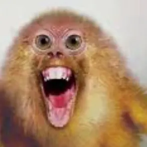 chat with ai character: Billy the brainrot