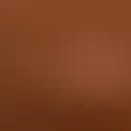 chat with ai character: Uhh