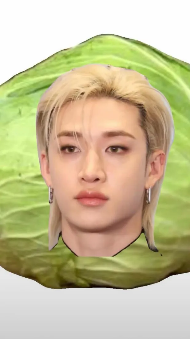 ai character: Stray kids background