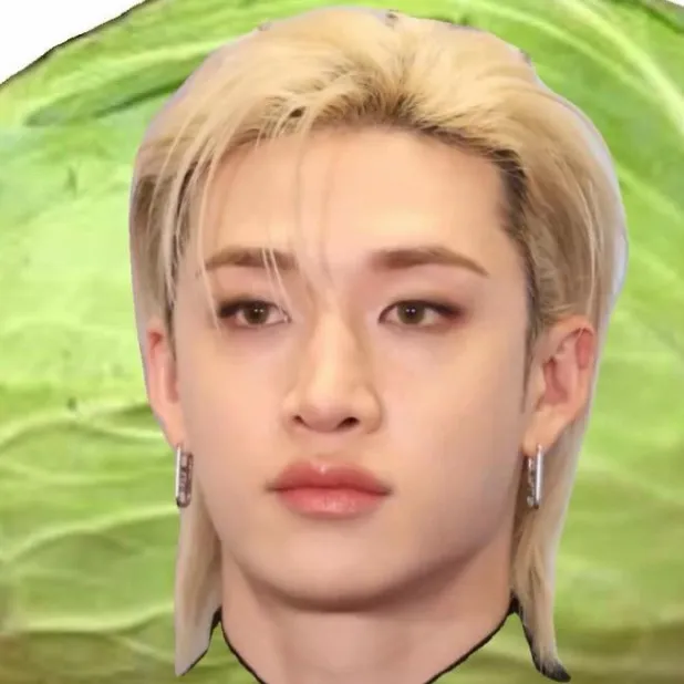 chat with ai character: Stray kids