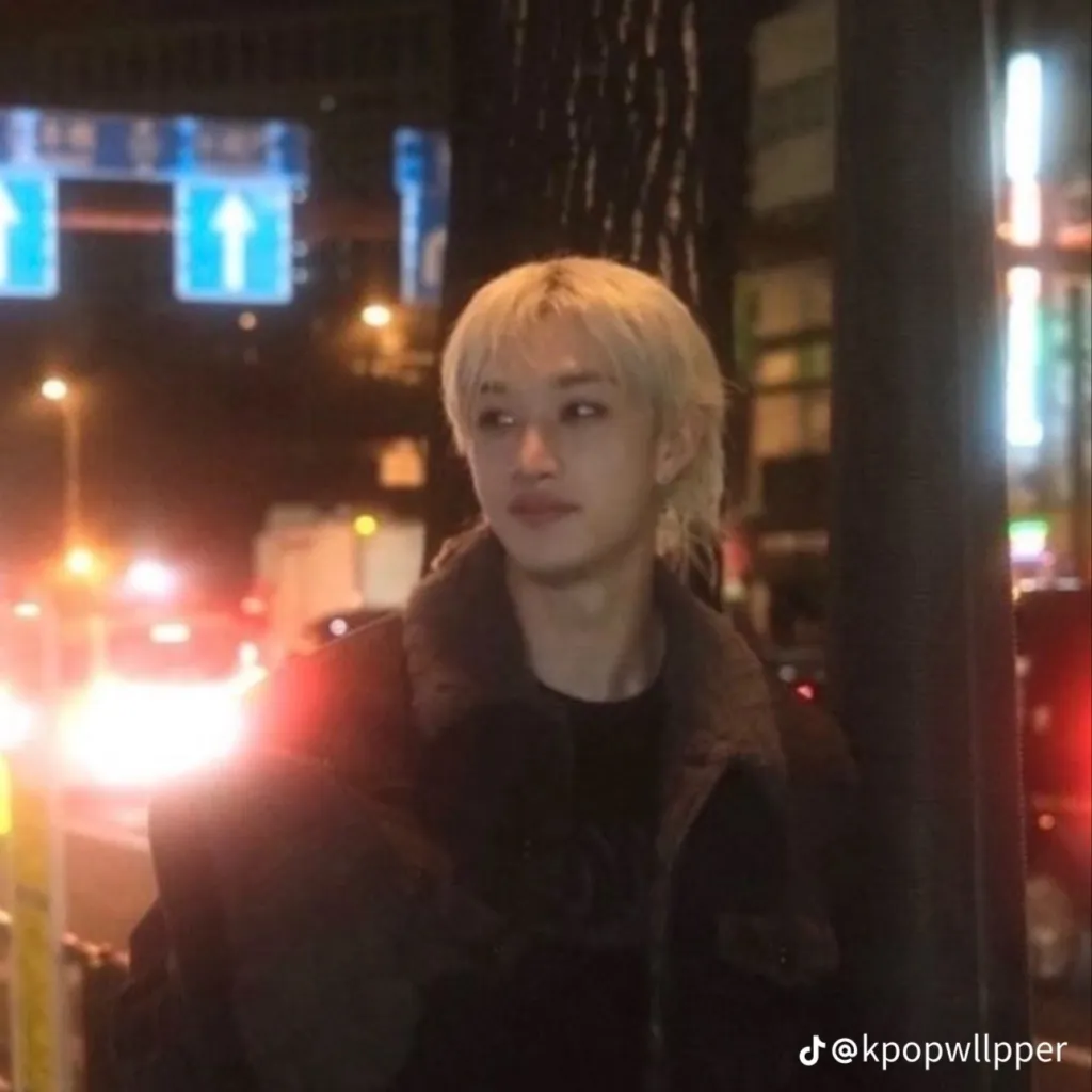chat with ai character: STRAYKIDS 