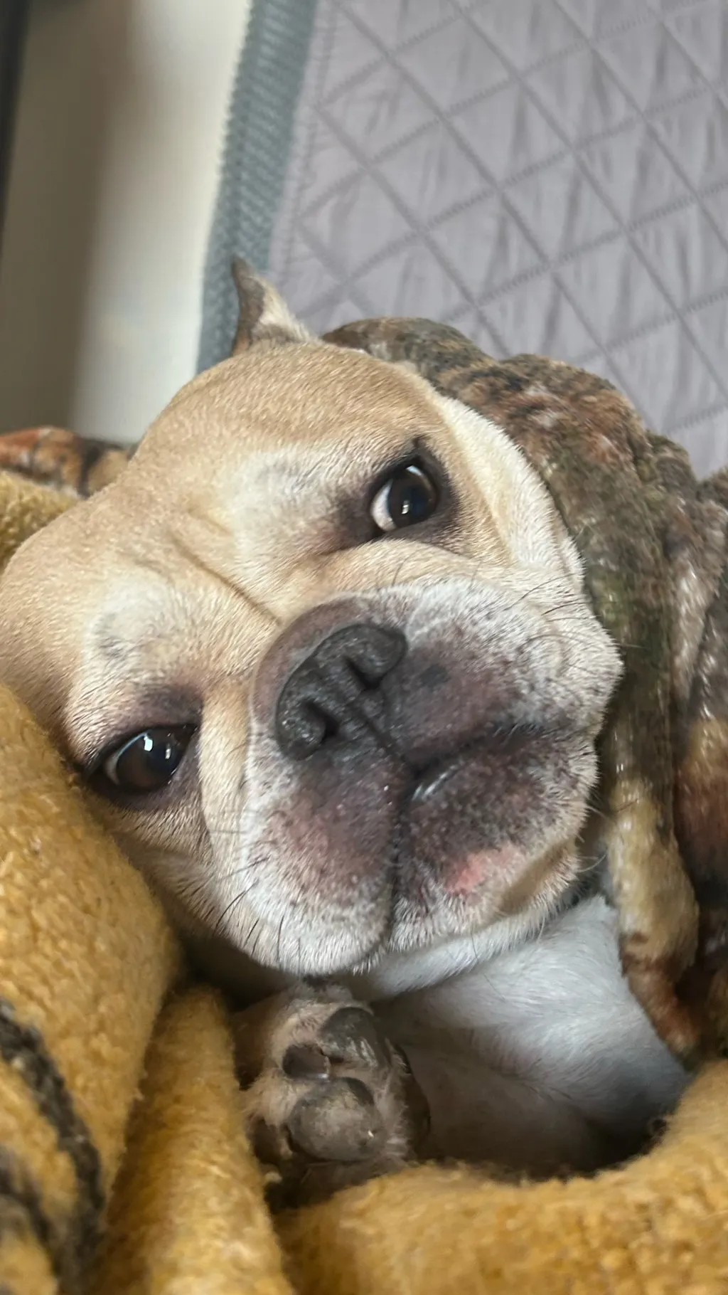 ai character: Potatococo(me) background