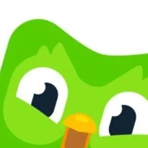 chat with ai character: DUOLINGO 