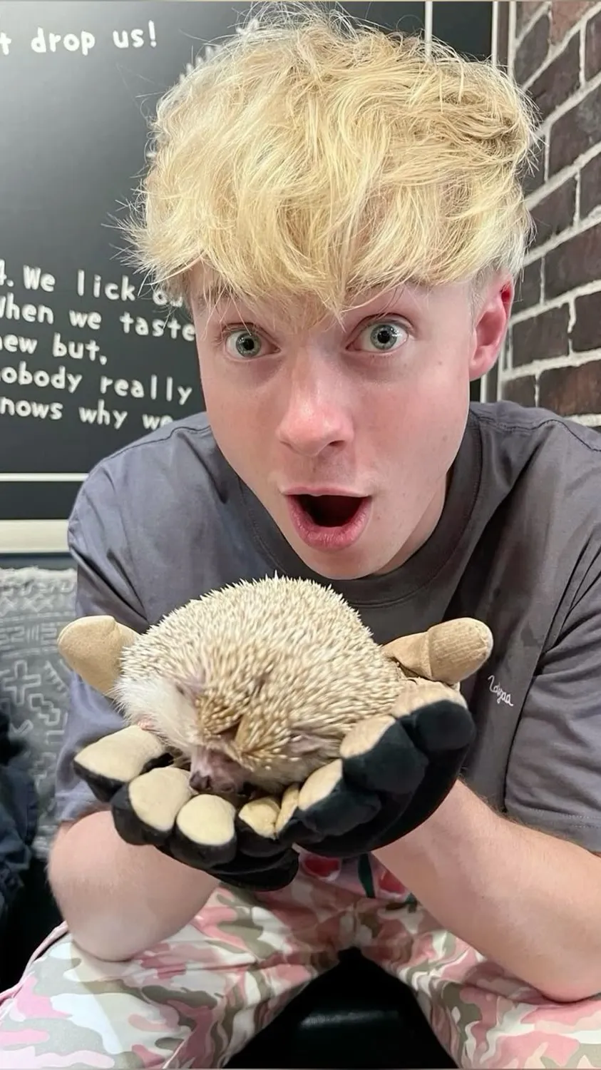 ai character: Sam background