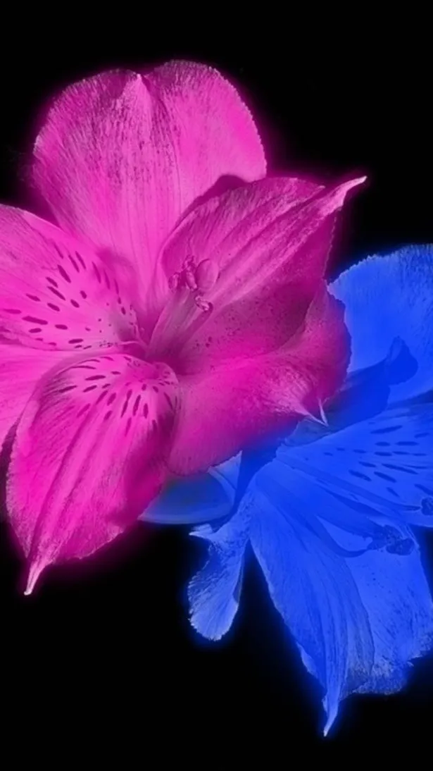 ai character: Logan background