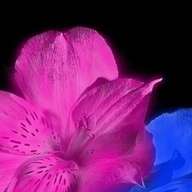 chat with ai character: Logan