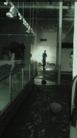 ai character: Mannequin Mall background