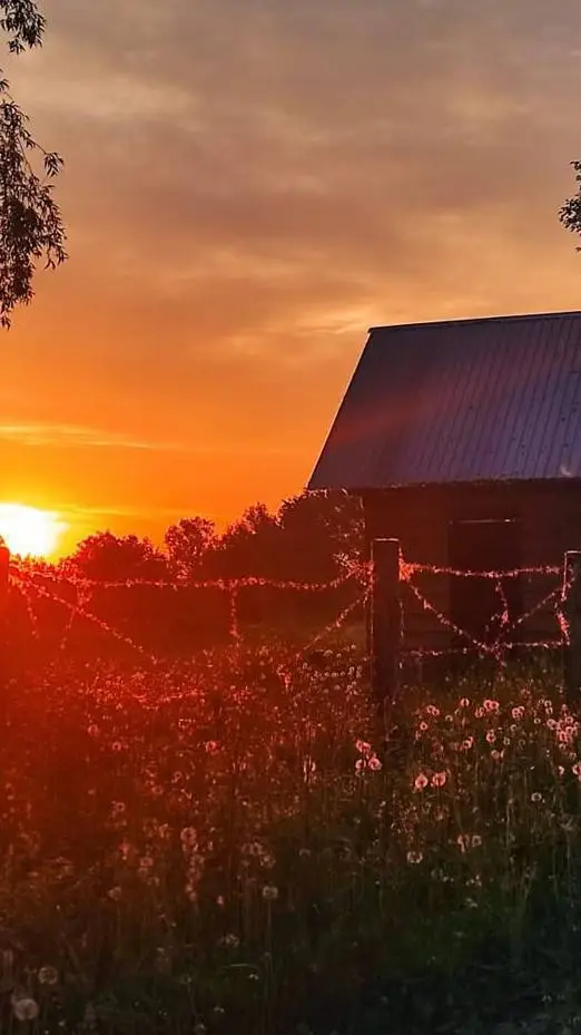 ai character: 💗деревня💗 background