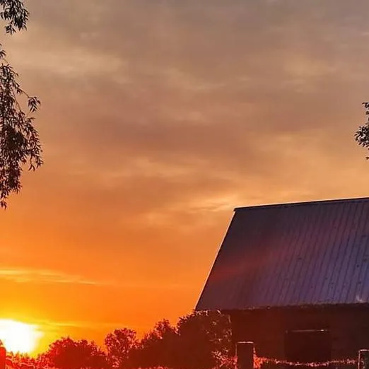 chat with ai character: 💗деревня💗