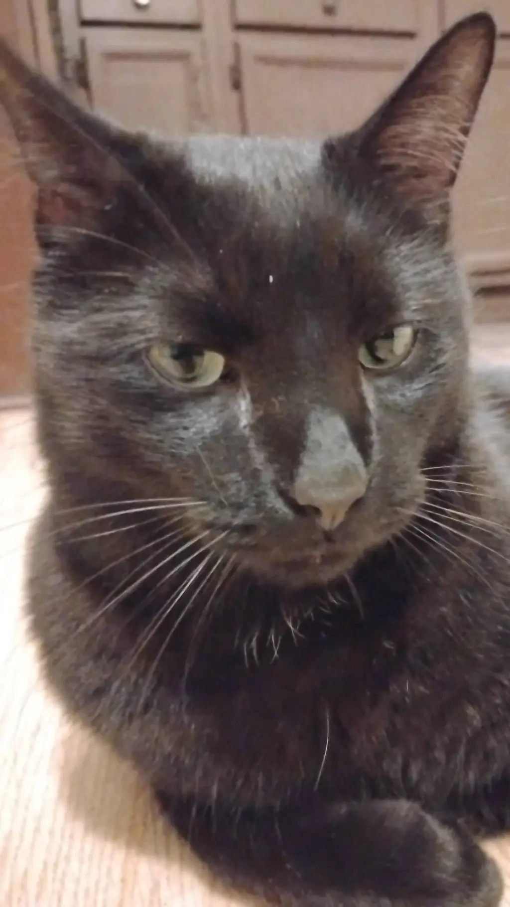 ai character: I needs ideas background