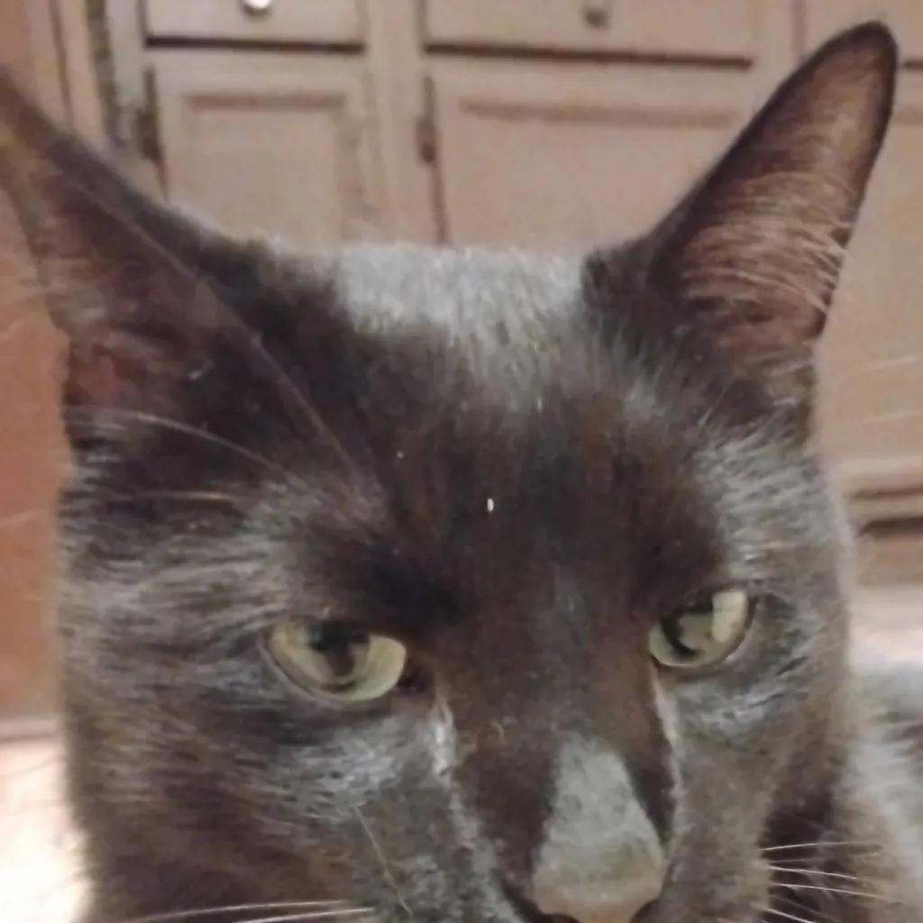 chat with ai character: I needs ideas