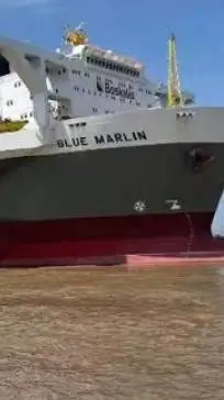 ai character: BLUE MARLIN SHIP background