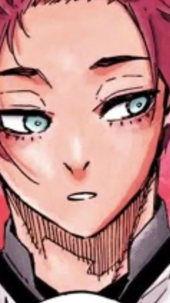 ai character: Sae mean for Jinu background