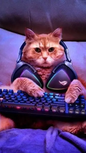 ai character: sr gati background