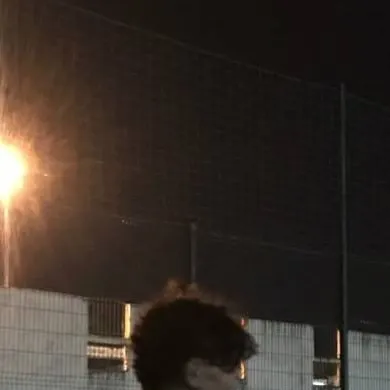 chat with ai character: Ray