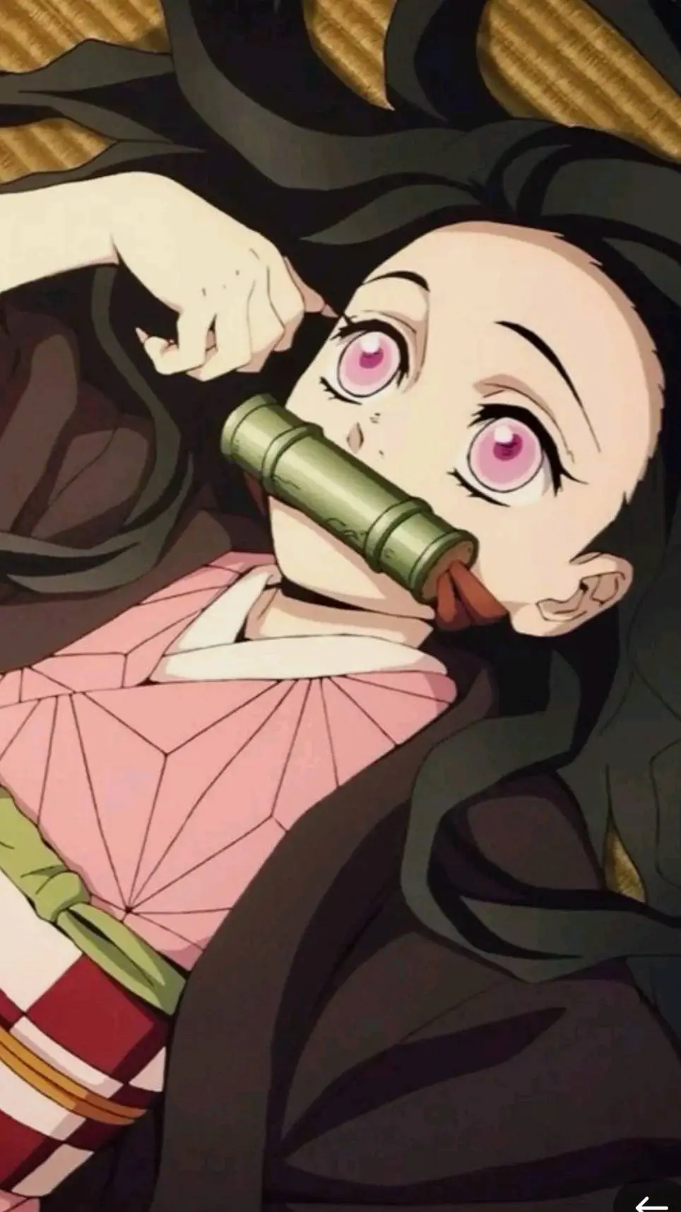 ai character: nezuko  background