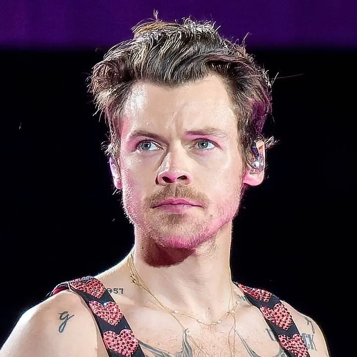 chat with ai character: Harry Styles