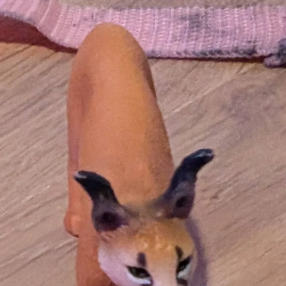 chat with ai character: Lynxa