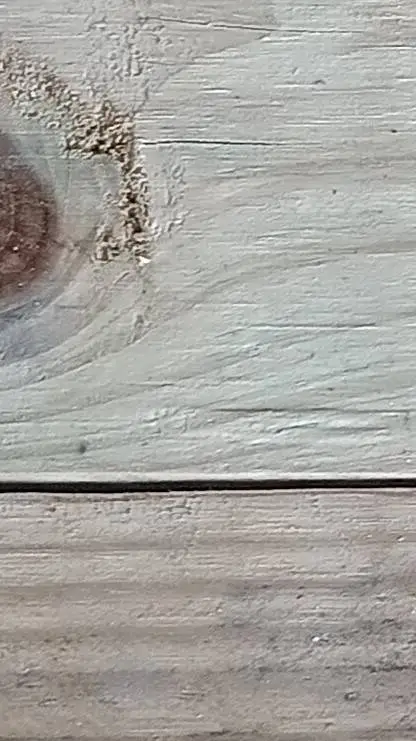 ai character: Ttygitfl background