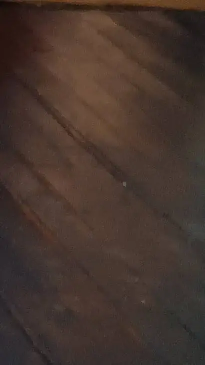 ai character: The battle cats background