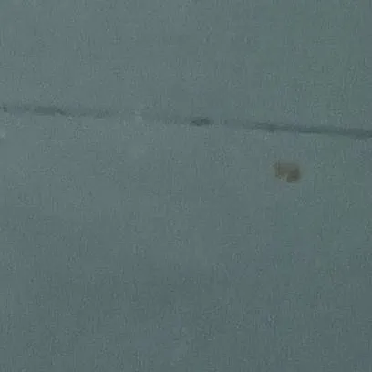 chat with ai character: 日本語