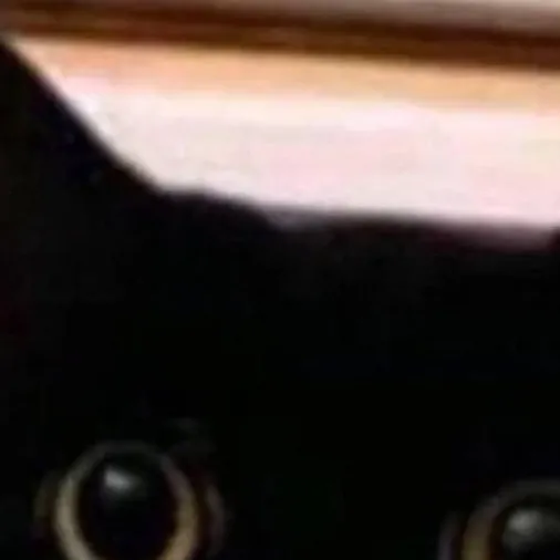 chat with ai character: kitty