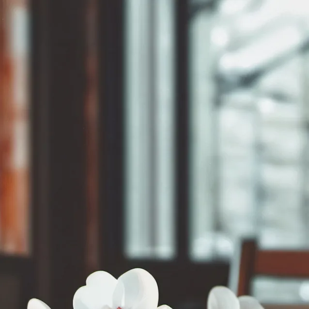 chat with ai character: omni man