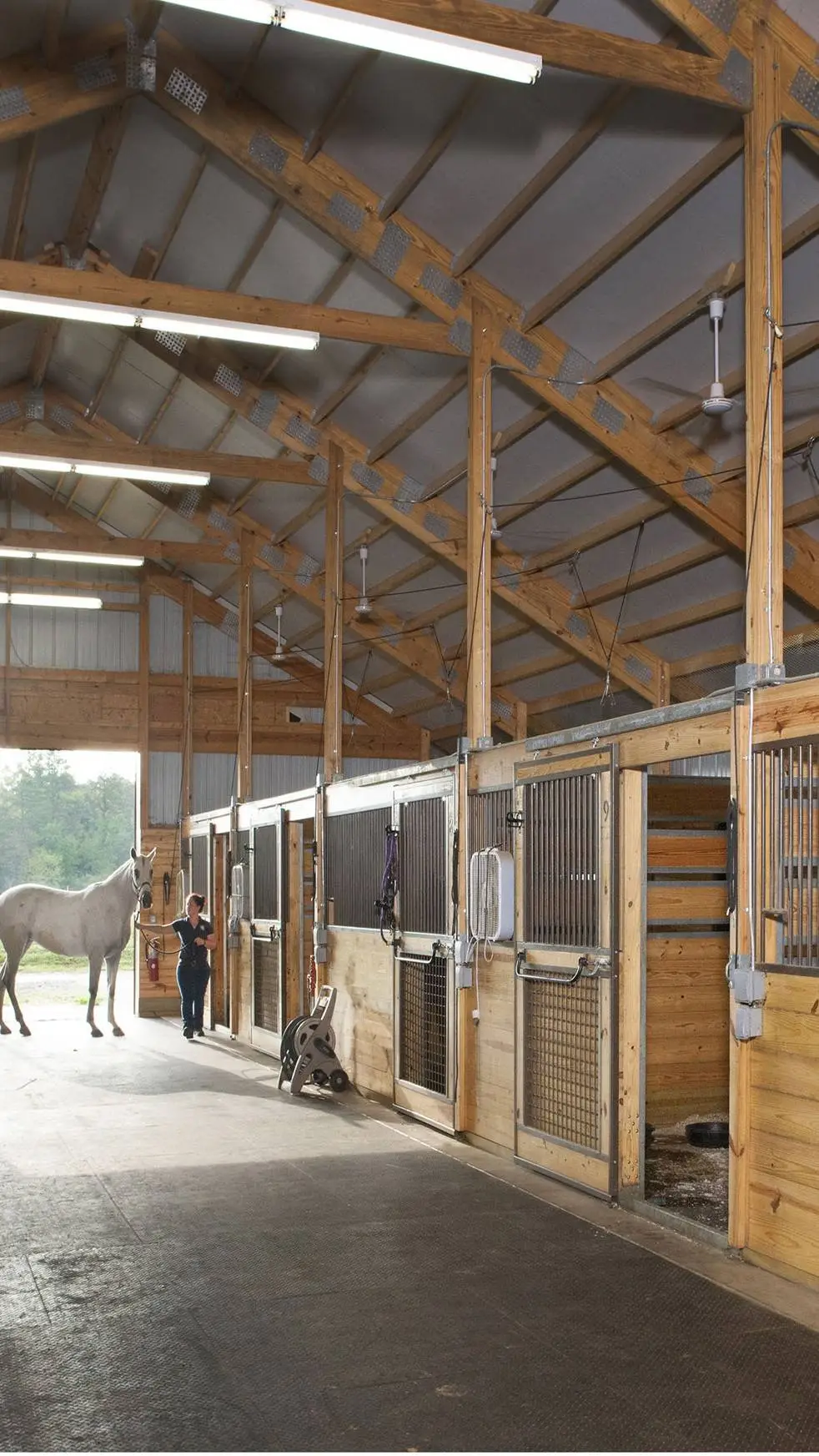 ai character: Silverleaf stables background