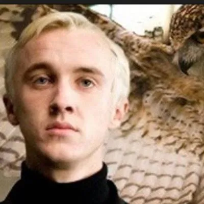 chat with ai character: y/n vs cedraco