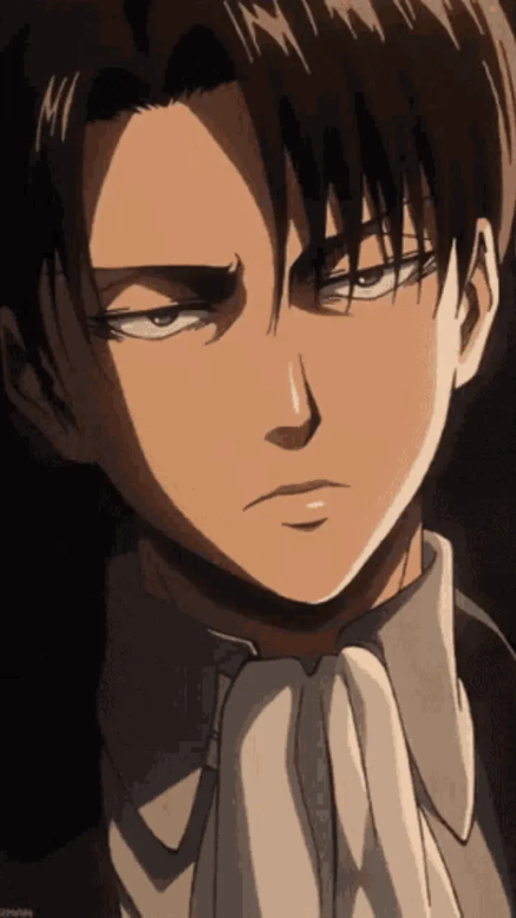 ai character: Levi background