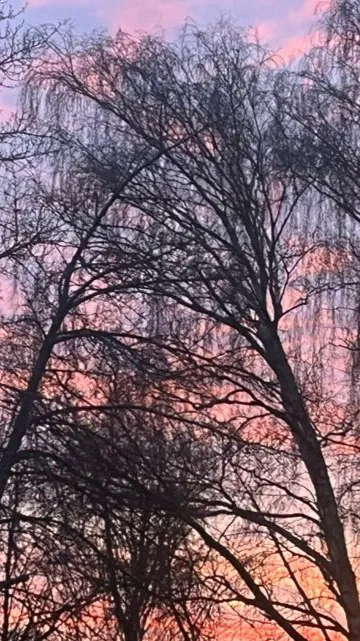 Talkie AI - Chat with Stranger Things