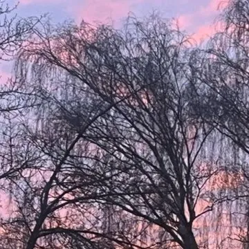 chat with ai character: Stranger Things