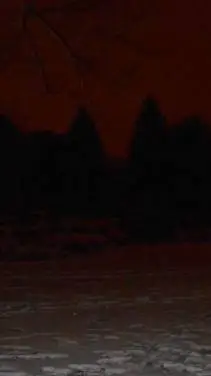 ai character: the apocalypseee background