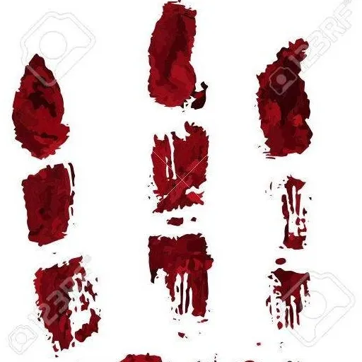 chat with ai character: Fon the Mystert!