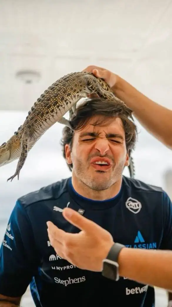 ai character: Carlos Sainz jr background