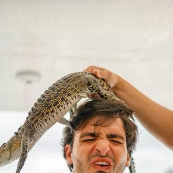 chat with ai character: Carlos Sainz jr