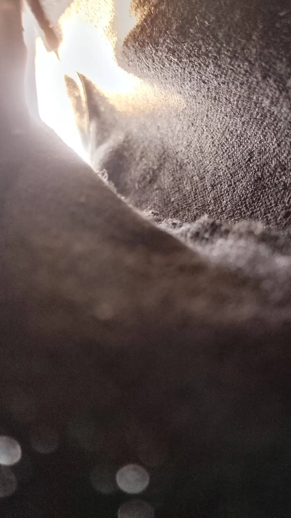 ai character: mha hates you background