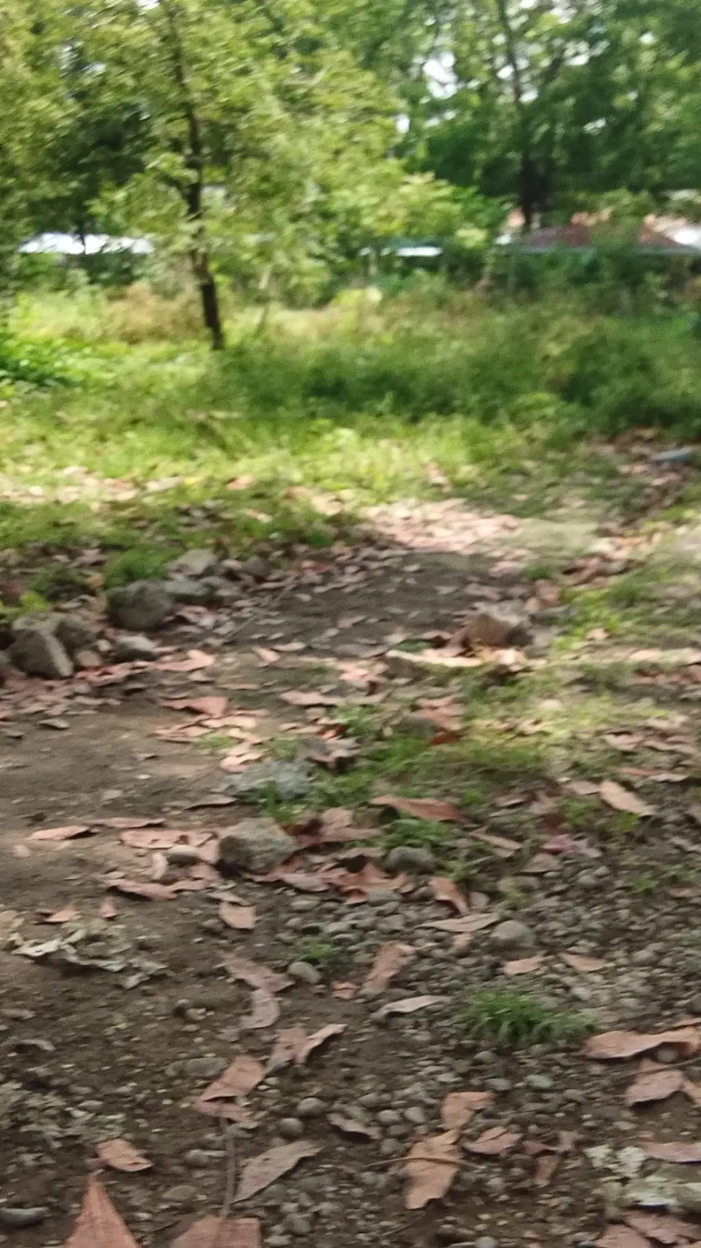 ai character: mha new student background