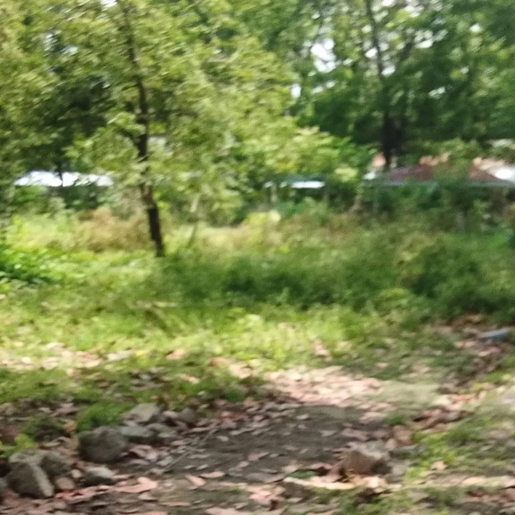 chat with ai character: mha new student