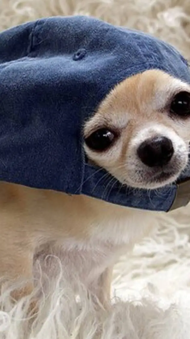 ai character: idk what to nameit background